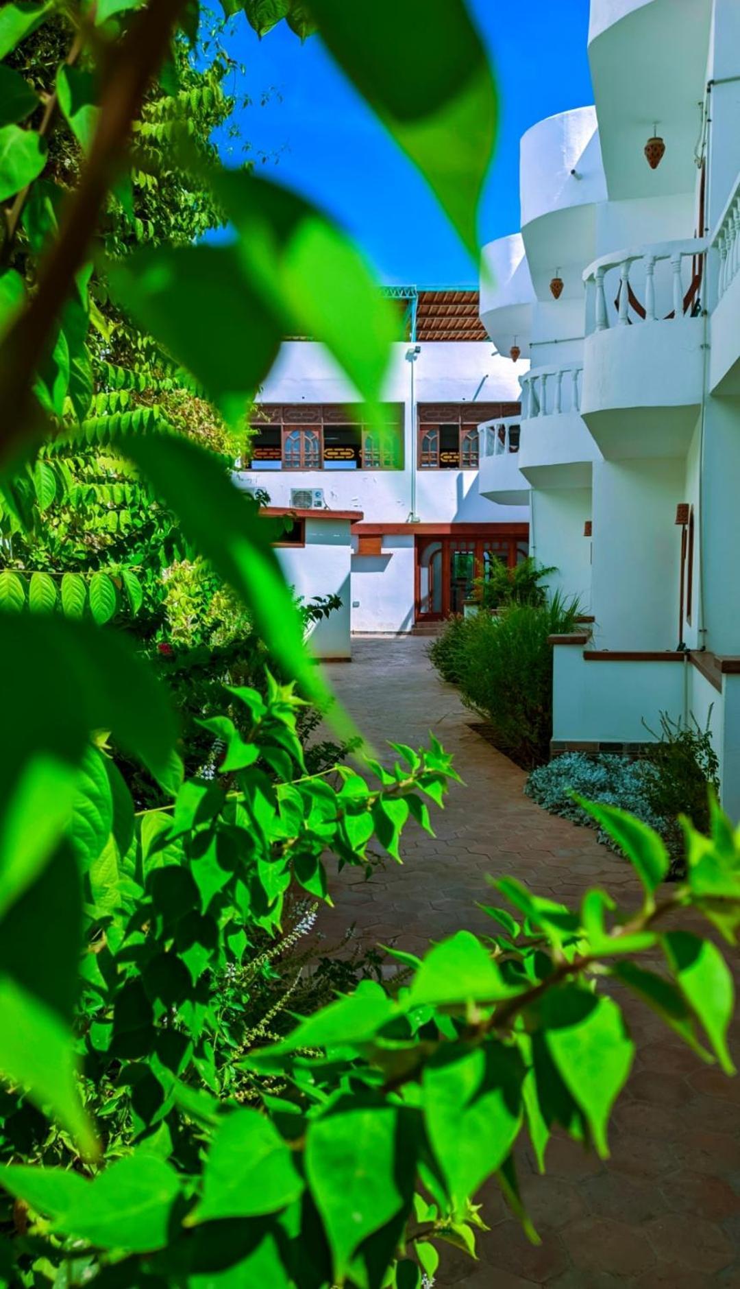 فندق Ghazala Oasis دهب المظهر الخارجي الصورة